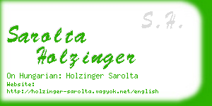 sarolta holzinger business card